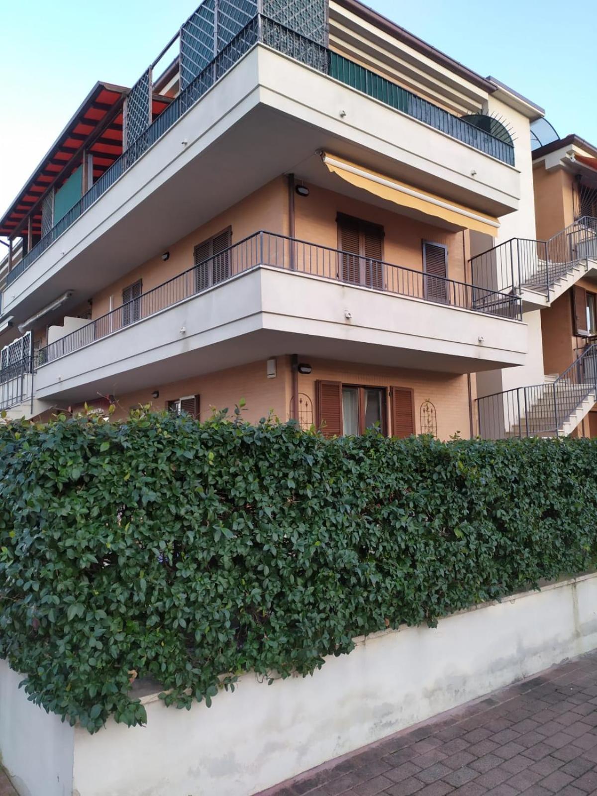 Medusa Porto San Giorgio Eksteriør billede